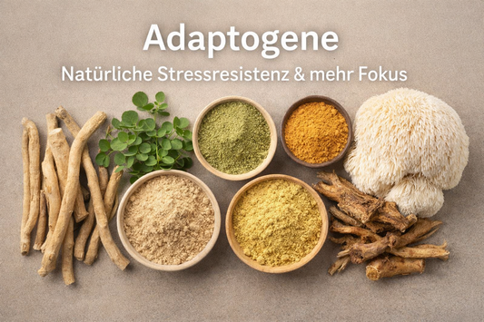 Adaptogene Pflanzen wie Ashwagandha, Lion’s Mane und Brahmi zur Unterstützung von Stressresistenz und Fokus