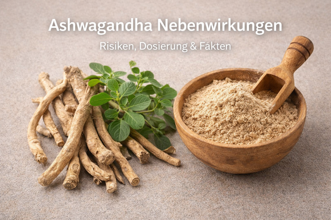 Ashwagandha Wurzel und Pulver als Adaptogen zur Unterstützung von Stressresistenz und Balance