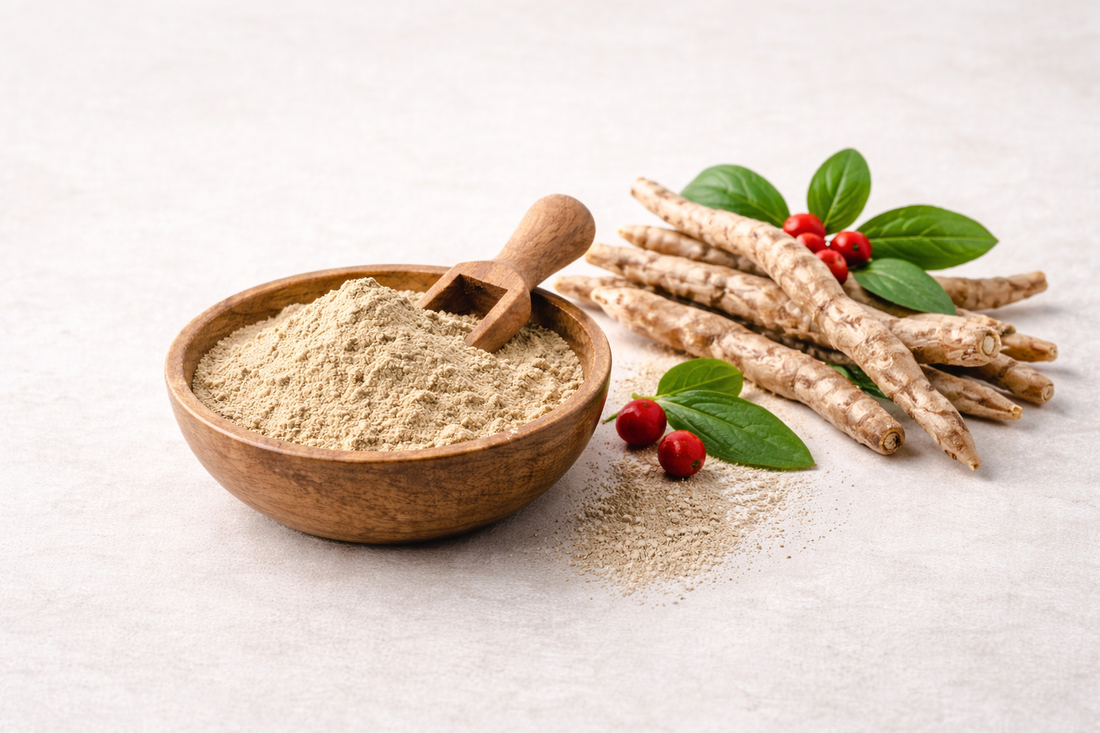 Ashwagandha Pulver in Holzschale mit frischer Wurzel auf hellem Hintergrund