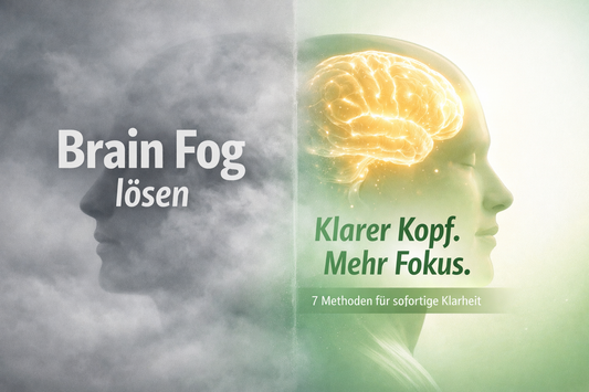 Brain Fog lösen – klarer Kopf und mehr Fokus durch gesunde Gewohnheiten und natürliche Methoden