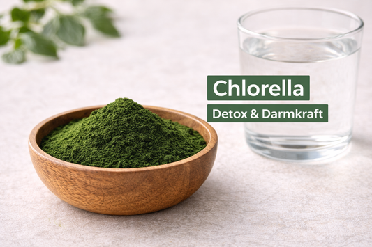 Chlorella Pulver in Holzschale als grünes Superfood für Detox und Darmgesundheit