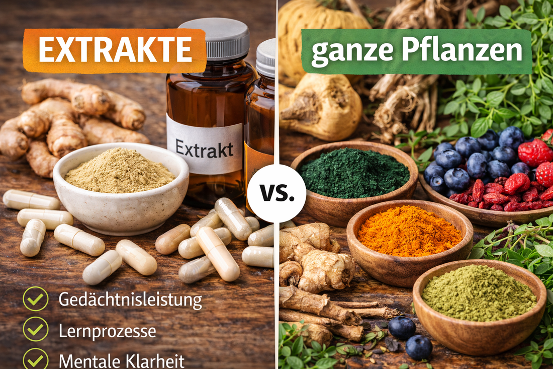Vergleich zwischen Pflanzenextrakten und ganzen Pflanzenpulvern mit natürlichen Superfoods und Kapseln.