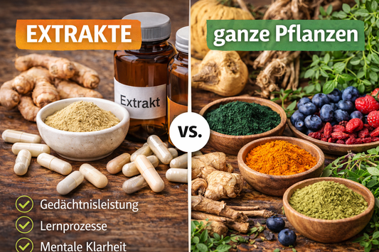 Vergleich zwischen Pflanzenextrakten und ganzen Pflanzenpulvern mit natürlichen Superfoods und Kapseln.