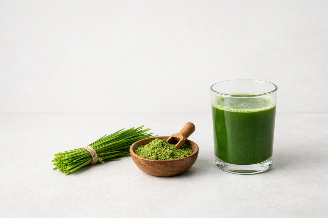 Frisches Gerstengras und grüner Drink mit Gerstengras Pulver auf hellem Hintergrund