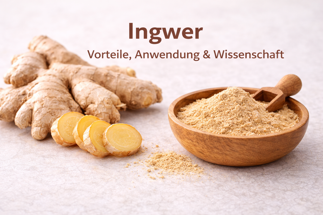 Frische Ingwerwurzel und Ingwerpulver auf hellem Hintergrund – natürliches Superfood mit entzündungshemmender und verdauungsfördernder Wirkung.