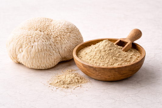 Lion’s Mane Pilz und feines Pulver auf hellem Hintergrund für mentale Klarheit und Fokus