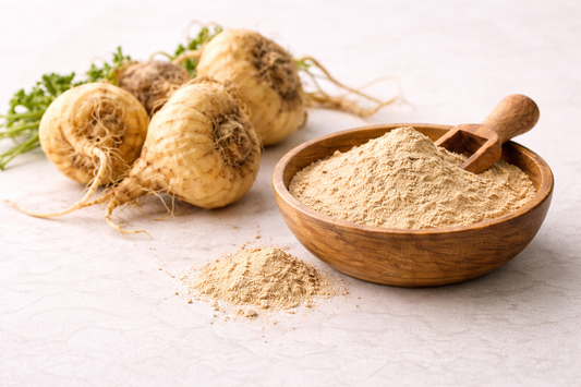 Maca Wurzel und Maca Pulver auf hellem Hintergrund als natürliches Adaptogen für Energie und Fokus