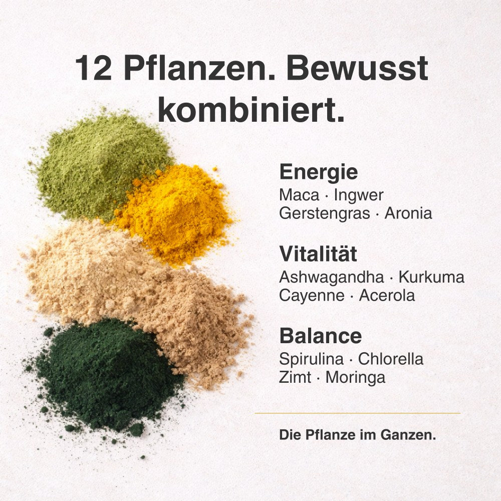DailyVital – Pflanzlicher Superfood-Drink für Energie & innere Balance
