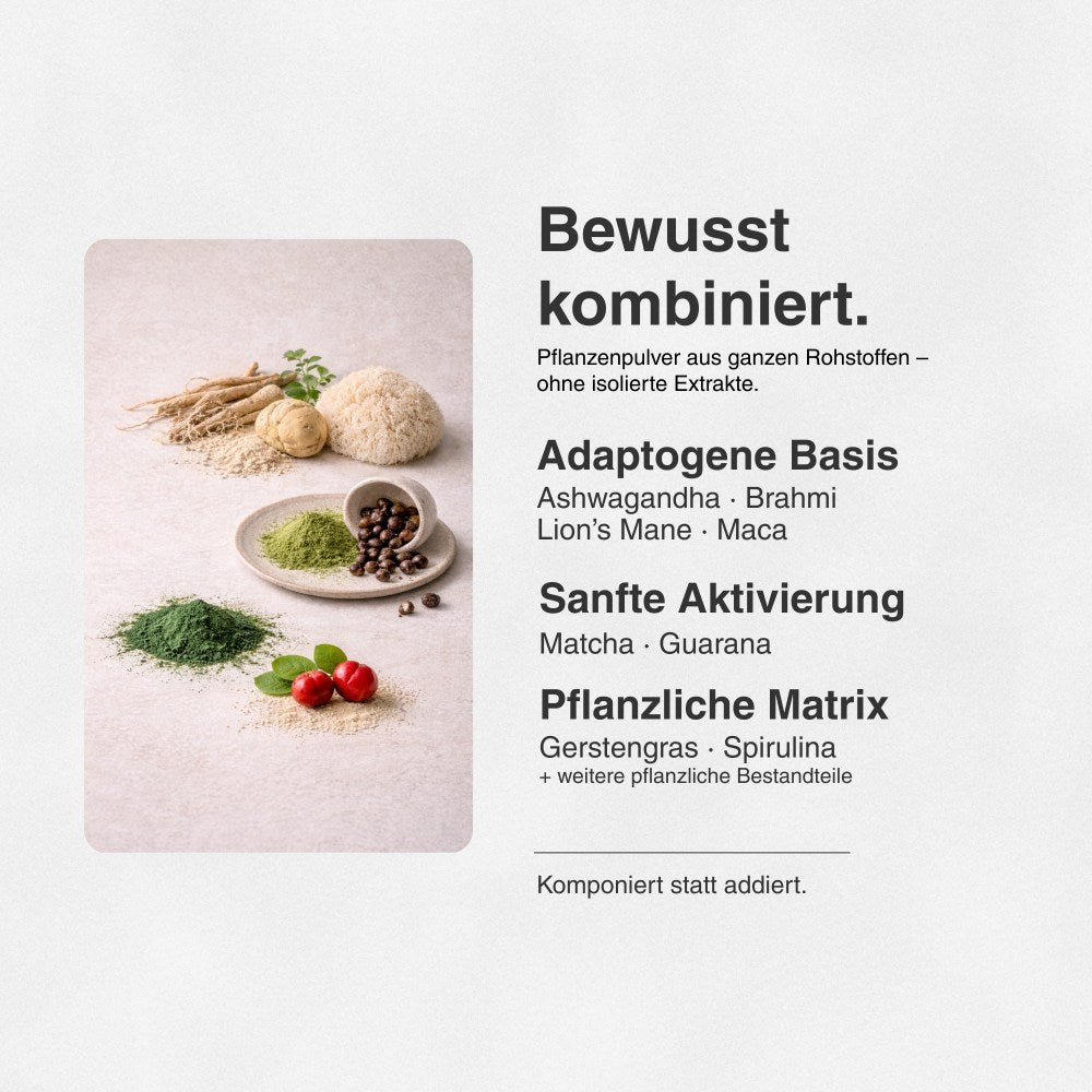 DailyFocus - Starter Pack - 7 Sachets Fokus-Zustand