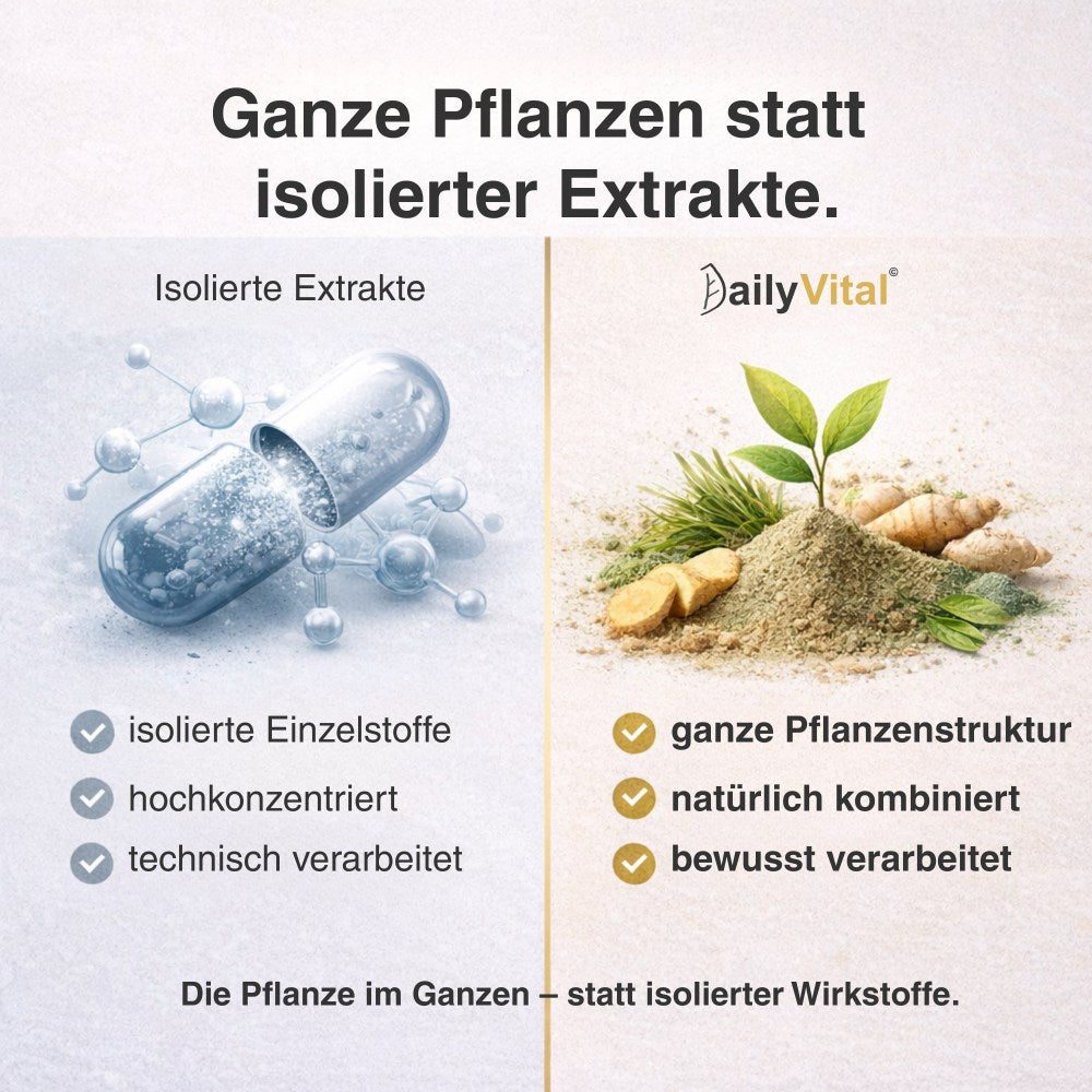 DailyVital – Pflanzlicher Superfood-Drink für Energie & innere Balance